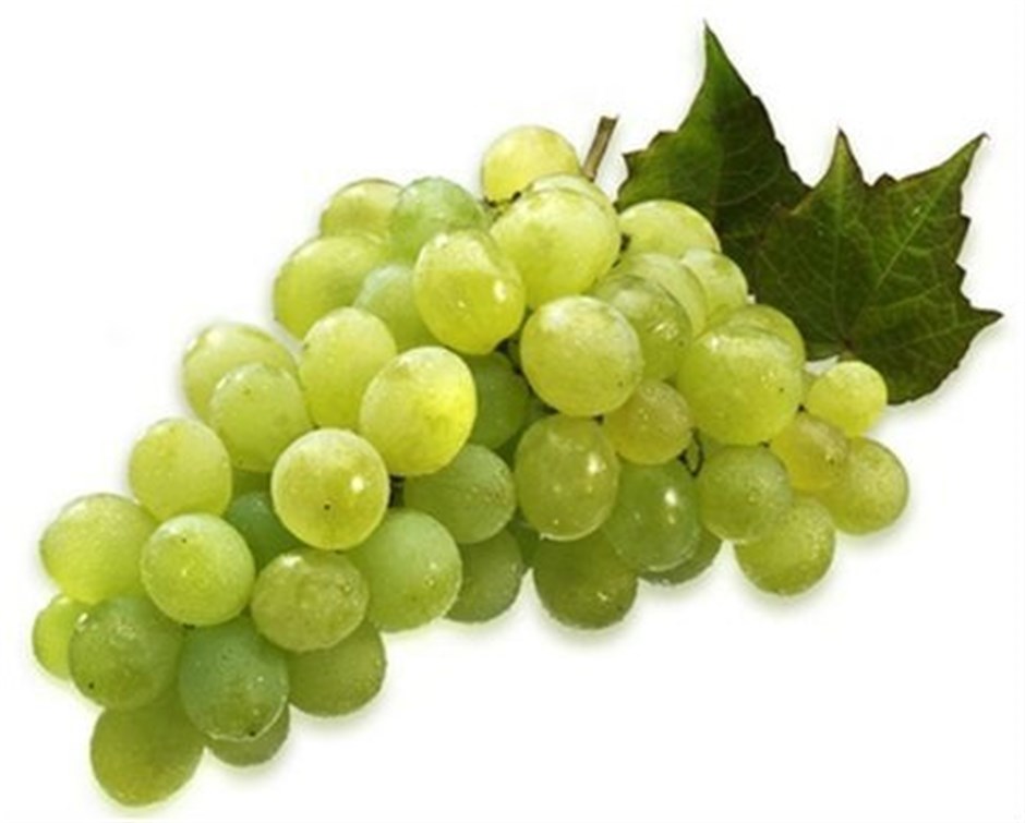 Rezaki Grapes 